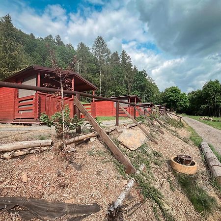 Chatka Agawa V Arealu Koupaliste Bystre V Orlickych Horach Экстерьер фото